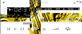 skins.1.jpg (8494 bytes)